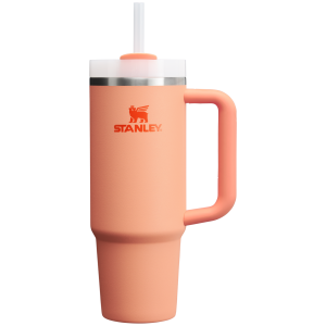 Stanley Quencher H2.0 FlowState Tumbler 30 oz